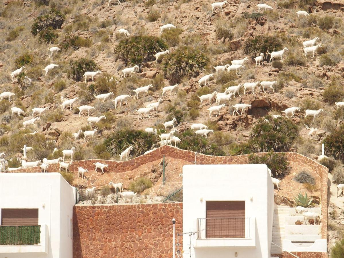 Vila La Loma Sant Josep de sa Talaia Exteriér fotografie